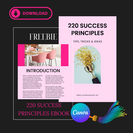 220 SUCCESS PRINCIPLES EBOOK Template